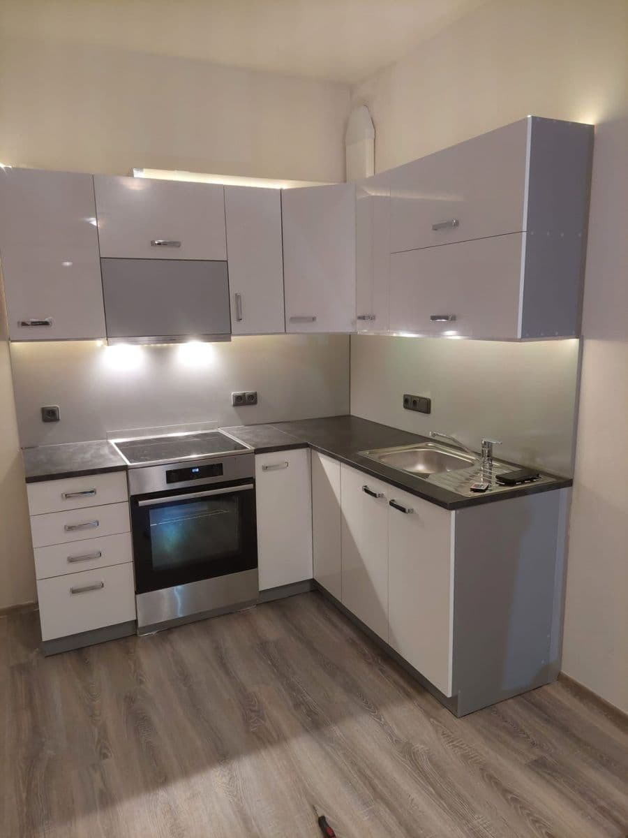 1 bedroom with open-plan kitchen flat to rent, 55 m², Františka Kováříka, Plzeň, Plzeňský Region 1 bedroom with open-plan kitchen flat to rent, 55 m², Františka Kováříka, Plzeň, Plzeňský Region