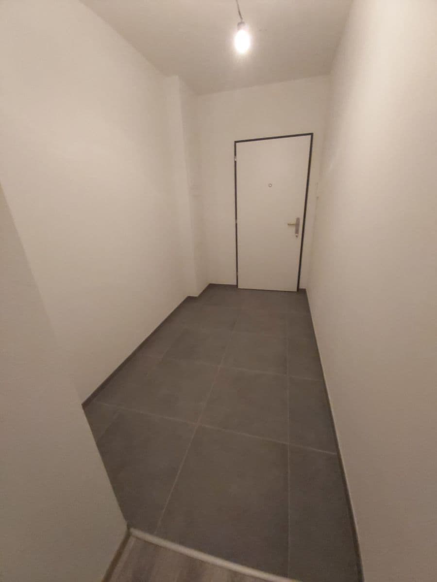 1 bedroom with open-plan kitchen flat to rent, 55 m², Františka Kováříka, Plzeň, Plzeňský Region 1 bedroom with open-plan kitchen flat to rent, 55 m², Františka Kováříka, Plzeň, Plzeňský Region