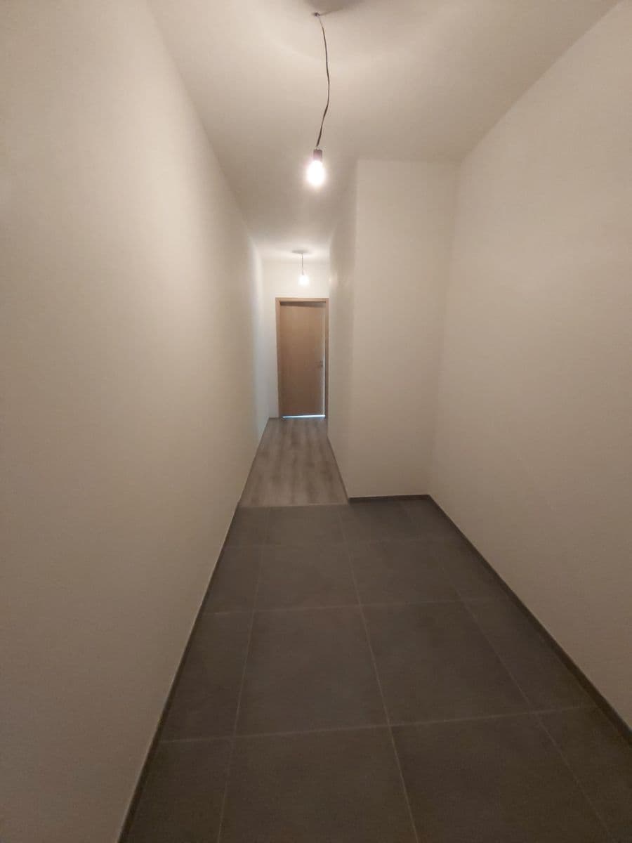 1 bedroom with open-plan kitchen flat to rent, 55 m², Františka Kováříka, Plzeň, Plzeňský Region 1 bedroom with open-plan kitchen flat to rent, 55 m², Františka Kováříka, Plzeň, Plzeňský Region