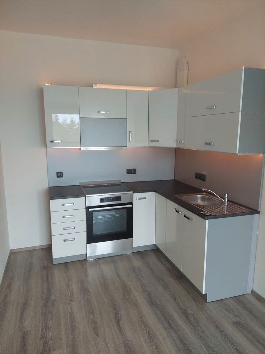 1 bedroom with open-plan kitchen flat to rent, 55 m², Františka Kováříka, Plzeň, Plzeňský Region 1 bedroom with open-plan kitchen flat to rent, 55 m², Františka Kováříka, Plzeň, Plzeňský Region