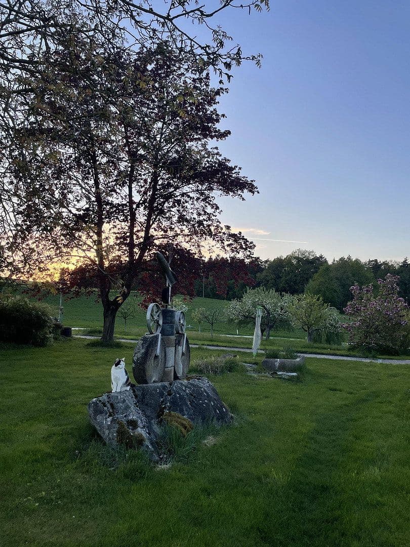 flat to rent, 160 m², Alberndorf, Upper Austria flat to rent, 160 m², Alberndorf, Upper Austria