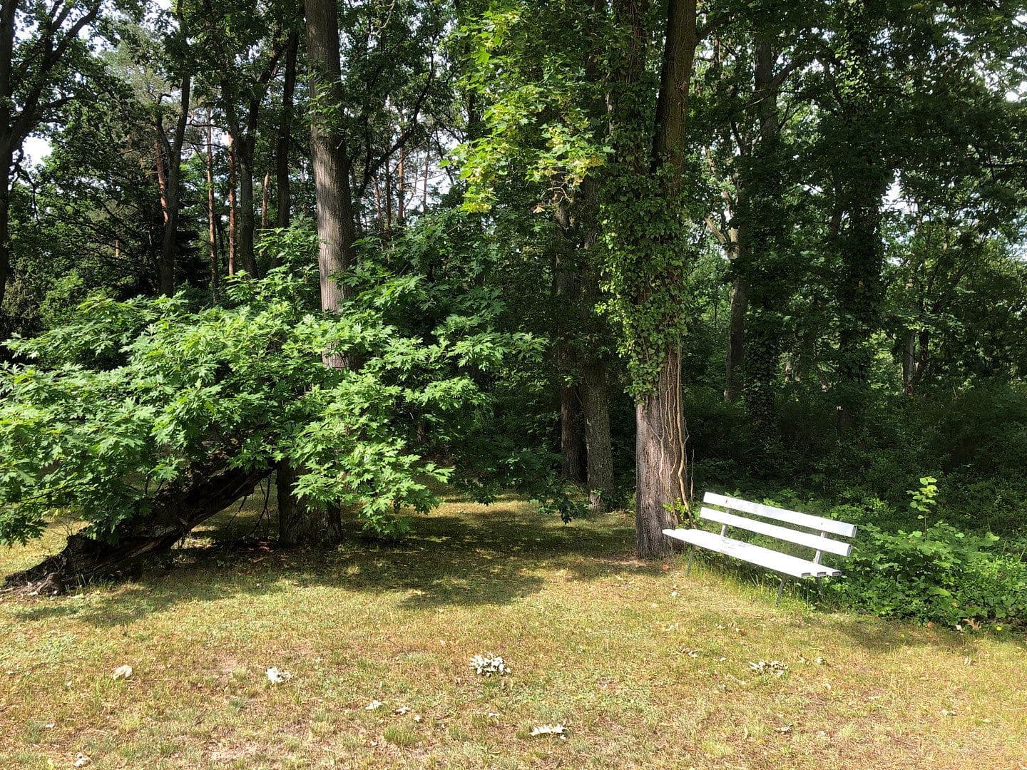 office to rent, 17 m², Friedrichshagener Str. 1-4, Schöneiche bei Berlin, Brandenburg office to rent, 17 m², Friedrichshagener Str. 1-4, Schöneiche bei Berlin, Brandenburg