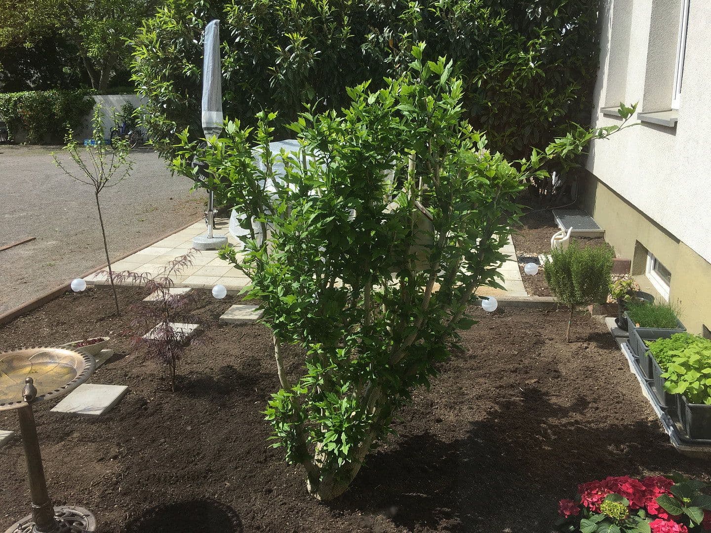 office to rent, 540 m², Mariannenstrasse 20, Dessau-Rosslau, Saxony-Anhalt office to rent, 540 m², Mariannenstrasse 20, Dessau-Rosslau, Saxony-Anhalt