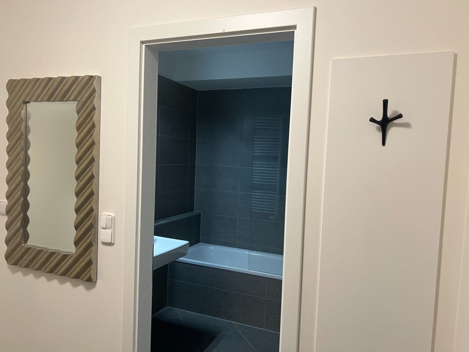 1 bedroom with open-plan kitchen flat to rent, 51 m², Gollové, Prague, Prague 1 bedroom with open-plan kitchen flat to rent, 51 m², Gollové, Prague, Prague