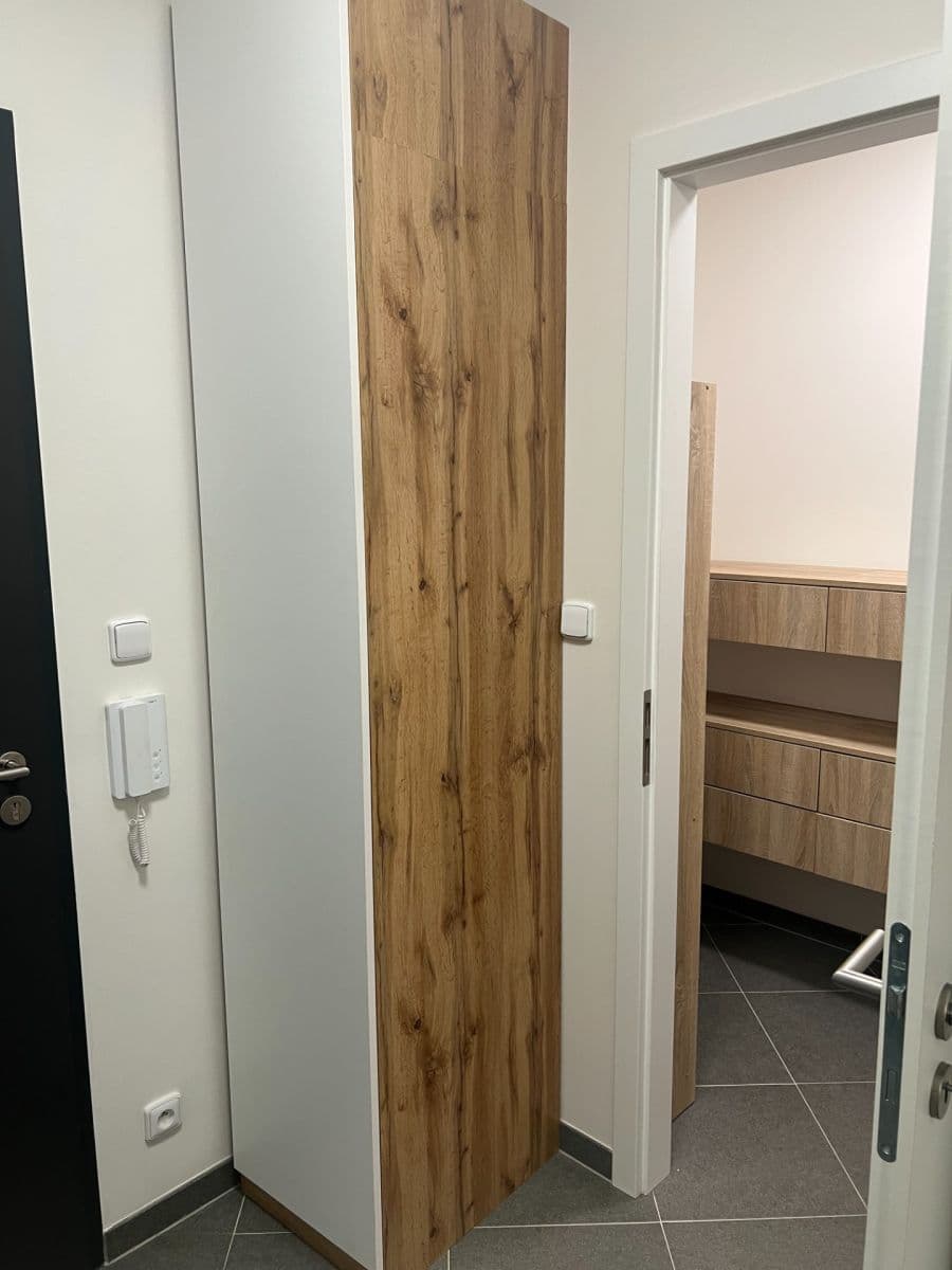 1 bedroom with open-plan kitchen flat to rent, 51 m², Gollové, Prague, Prague 1 bedroom with open-plan kitchen flat to rent, 51 m², Gollové, Prague, Prague