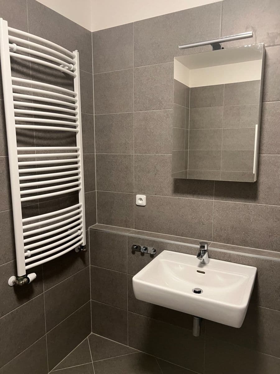 1 bedroom with open-plan kitchen flat to rent, 51 m², Gollové, Prague, Prague 1 bedroom with open-plan kitchen flat to rent, 51 m², Gollové, Prague, Prague