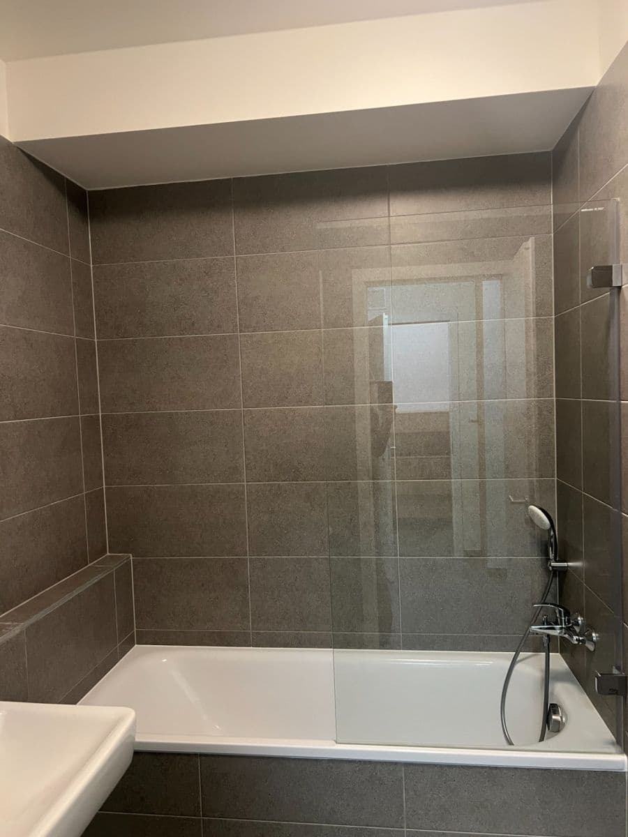 1 bedroom with open-plan kitchen flat to rent, 51 m², Gollové, Prague, Prague 1 bedroom with open-plan kitchen flat to rent, 51 m², Gollové, Prague, Prague