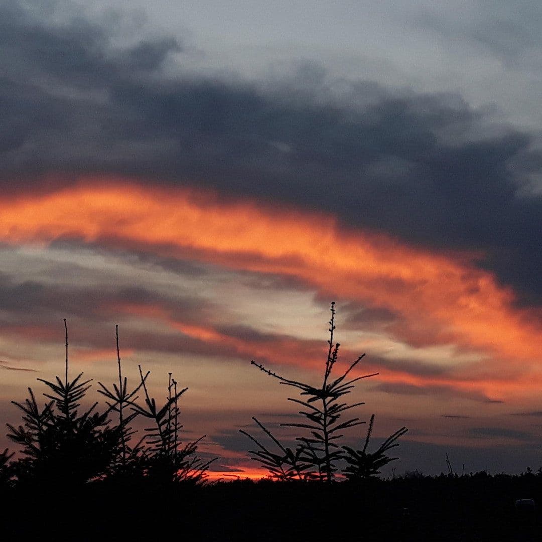 3 bedroom flat to rent, 60 m², Kliekener Schulstr. 2, Coswig (Anhalt), Saxony-Anhalt 3 bedroom flat to rent, 60 m², Kliekener Schulstr. 2, Coswig (Anhalt), Saxony-Anhalt