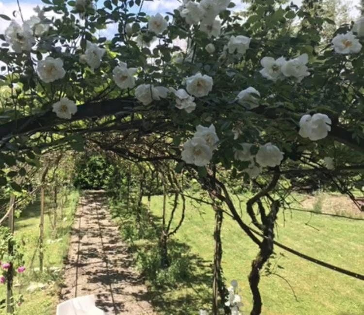 house for sale, 300 m², Lauchringen, Baden-Württemberg house for sale, 300 m², Lauchringen, Baden-Württemberg