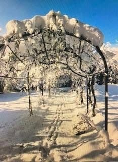 house for sale, 300 m², Lauchringen, Baden-Württemberg house for sale, 300 m², Lauchringen, Baden-Württemberg