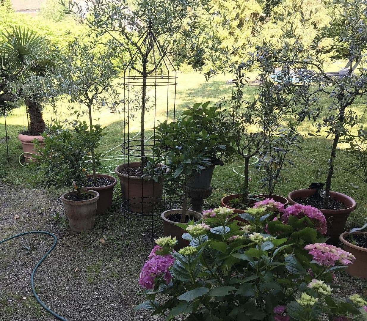 house for sale, 300 m², Lauchringen, Baden-Württemberg house for sale, 300 m², Lauchringen, Baden-Württemberg