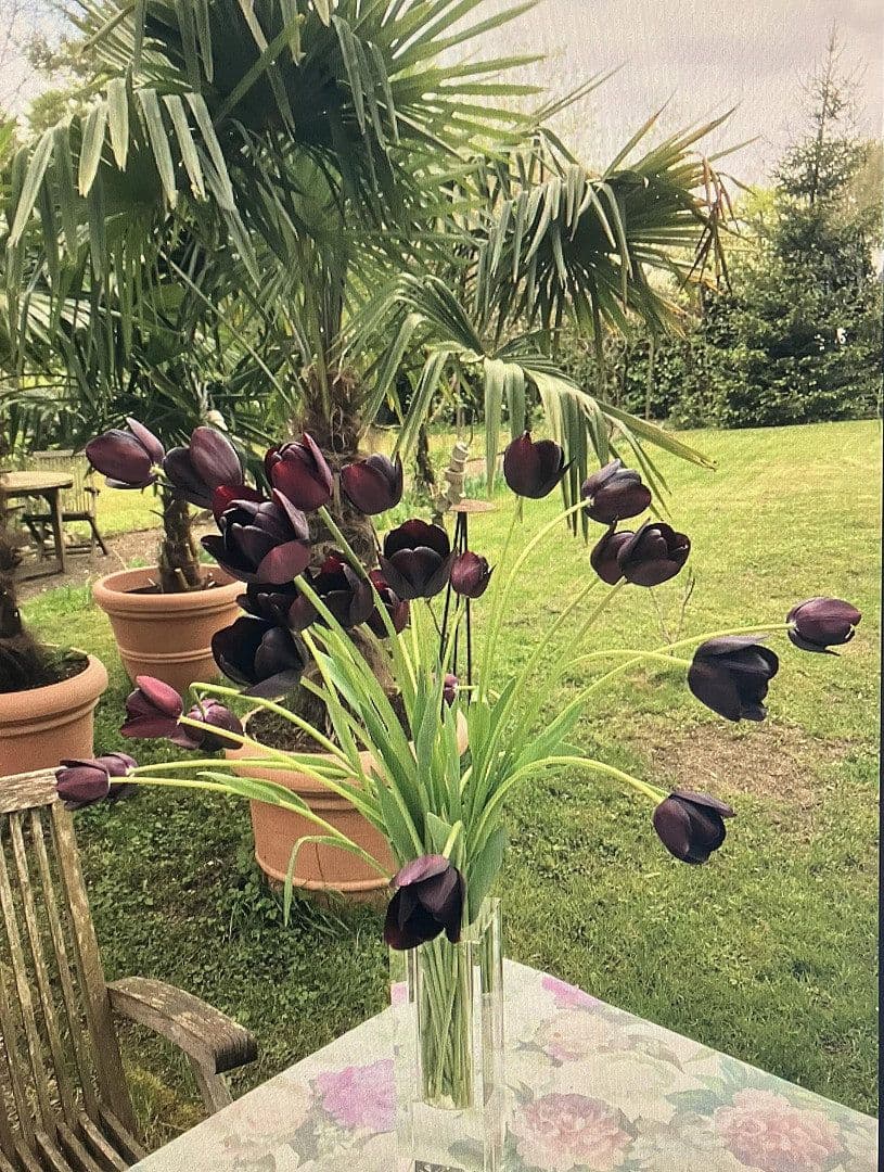 house for sale, 300 m², Lauchringen, Baden-Württemberg house for sale, 300 m², Lauchringen, Baden-Württemberg