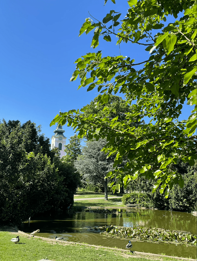 4 bedroom flat for sale, 100 m², Franz-Asenbauer-Gasse, Wien, Vienna 4 bedroom flat for sale, 100 m², Franz-Asenbauer-Gasse, Wien, Vienna