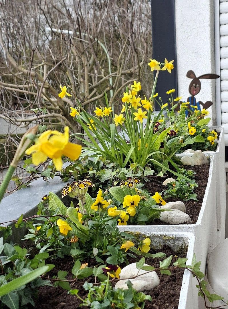 1 bedroom flat to rent, 51 m², Friedrichsdorf, Hesse 1 bedroom flat to rent, 51 m², Friedrichsdorf, Hesse