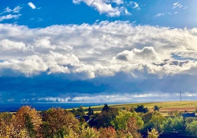 house for sale, 270 m², Weisenheim am Berg, Rhineland-Palatinate house for sale, 270 m², Weisenheim am Berg, Rhineland-Palatinate