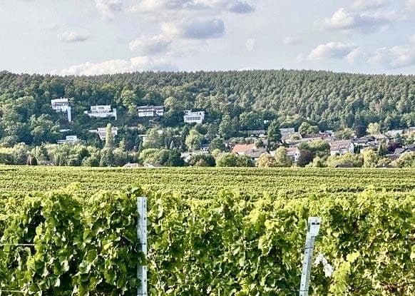 house for sale, 270 m², Weisenheim am Berg, Rhineland-Palatinate house for sale, 270 m², Weisenheim am Berg, Rhineland-Palatinate