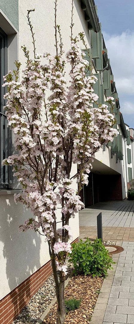 3 bedroom flat for sale, 76 m², Frankfurt / Kalbach-Riedberg, Hesse 3 bedroom flat for sale, 76 m², Frankfurt / Kalbach-Riedberg, Hesse