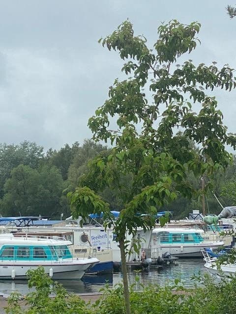 house for sale, 100 m², Luvweg 5C, Rechlin, Mecklenburg-Vorpommern house for sale, 100 m², Luvweg 5C, Rechlin, Mecklenburg-Vorpommern