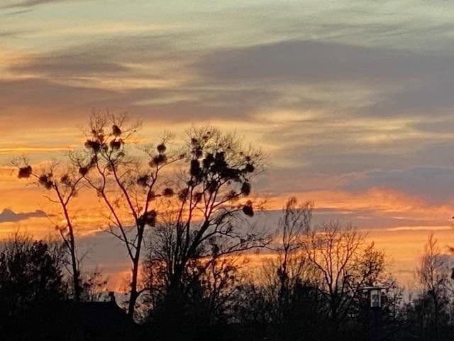 house for sale, 100 m², Luvweg 5C, Rechlin, Mecklenburg-Vorpommern house for sale, 100 m², Luvweg 5C, Rechlin, Mecklenburg-Vorpommern