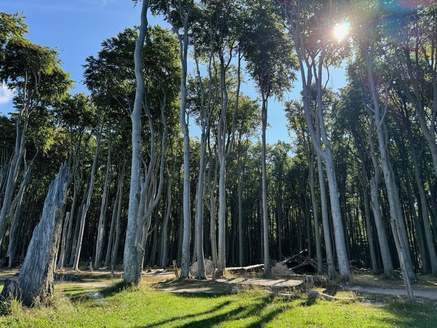 non-residential property for sale, 644 m², Börgerende-Rethwisch, Mecklenburg-Vorpommern non-residential property for sale, 644 m², Börgerende-Rethwisch, Mecklenburg-Vorpommern