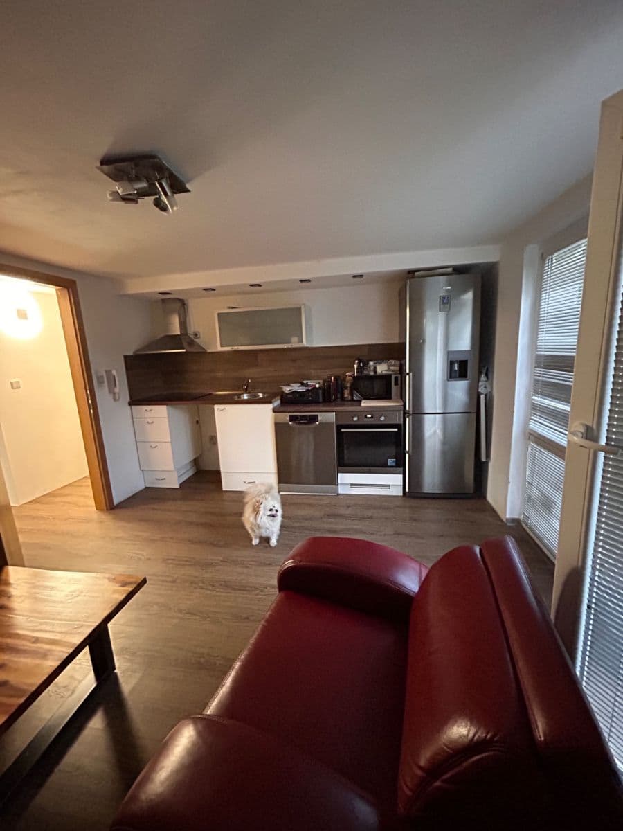 1 bedroom with open-plan kitchen flat to rent, 200 m², Křehlíkova, Brno, Jihomoravský Region 1 bedroom with open-plan kitchen flat to rent, 200 m², Křehlíkova, Brno, Jihomoravský Region