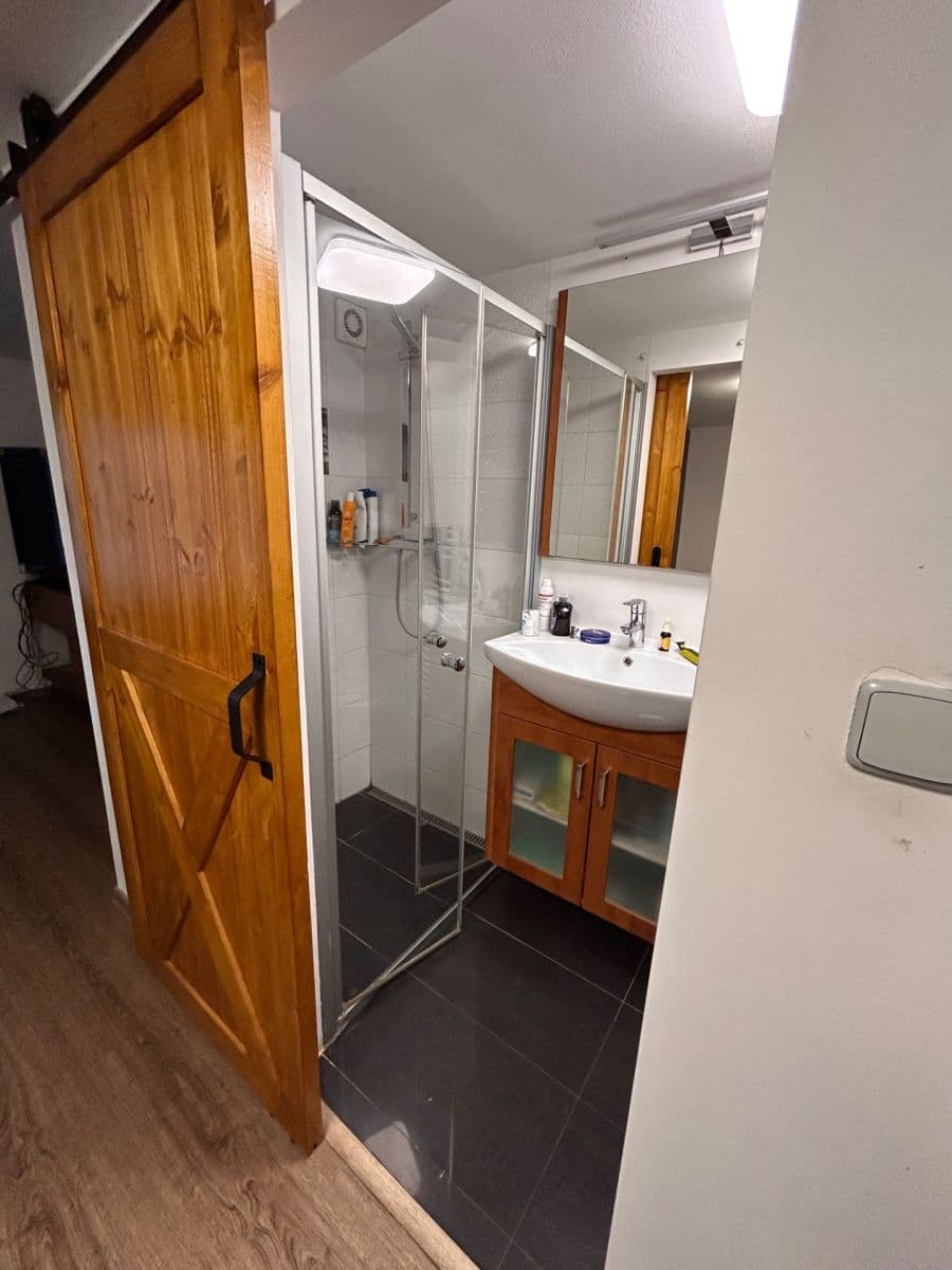 1 bedroom with open-plan kitchen flat to rent, 200 m², Křehlíkova, Brno, Jihomoravský Region 1 bedroom with open-plan kitchen flat to rent, 200 m², Křehlíkova, Brno, Jihomoravský Region