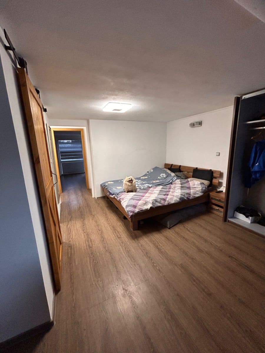 1 bedroom with open-plan kitchen flat to rent, 200 m², Křehlíkova, Brno, Jihomoravský Region 1 bedroom with open-plan kitchen flat to rent, 200 m², Křehlíkova, Brno, Jihomoravský Region