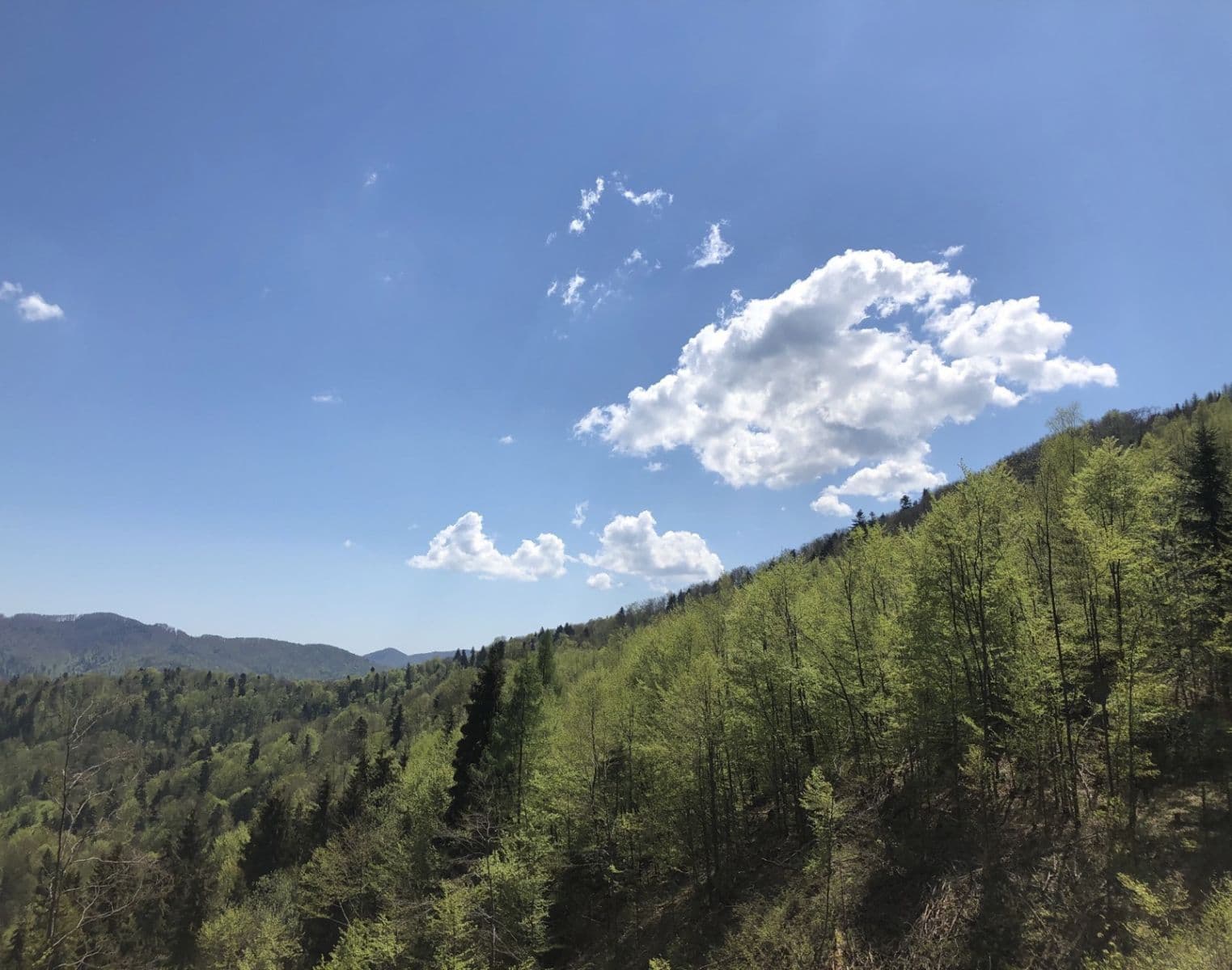 plot for sale, 126,857 m², Legnava, Prešovský Region plot for sale, 126,857 m², Legnava, Prešovský Region