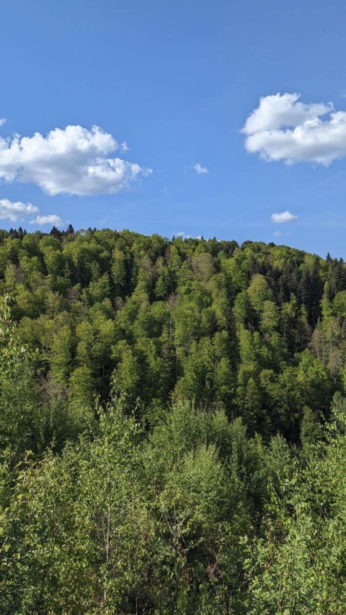 plot for sale, 126,857 m², Legnava, Prešovský Region plot for sale, 126,857 m², Legnava, Prešovský Region