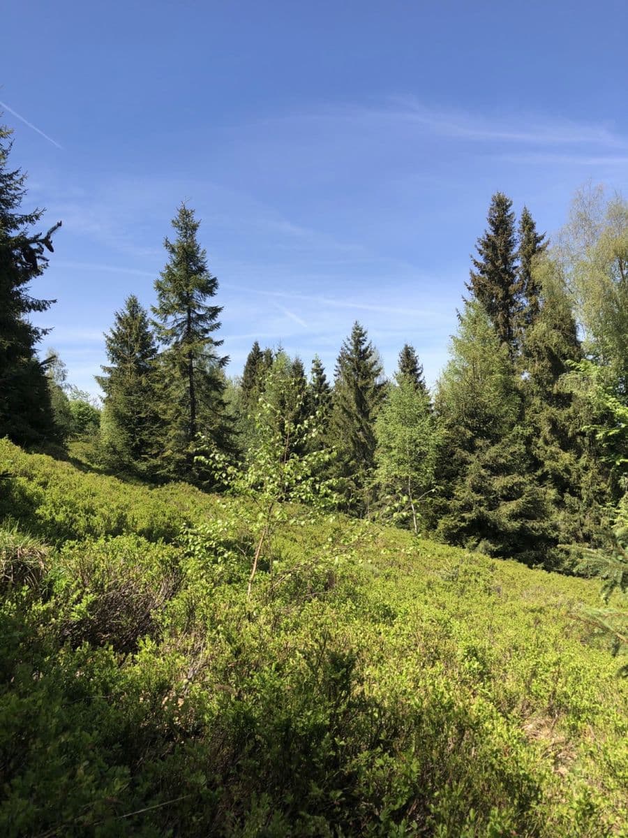 plot for sale, 126,857 m², Legnava, Prešovský Region plot for sale, 126,857 m², Legnava, Prešovský Region