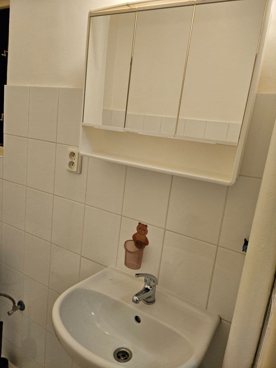 Studio flat to rent, 26 m², Vrchlického, Prague, Prague Studio flat to rent, 26 m², Vrchlického, Prague, Prague