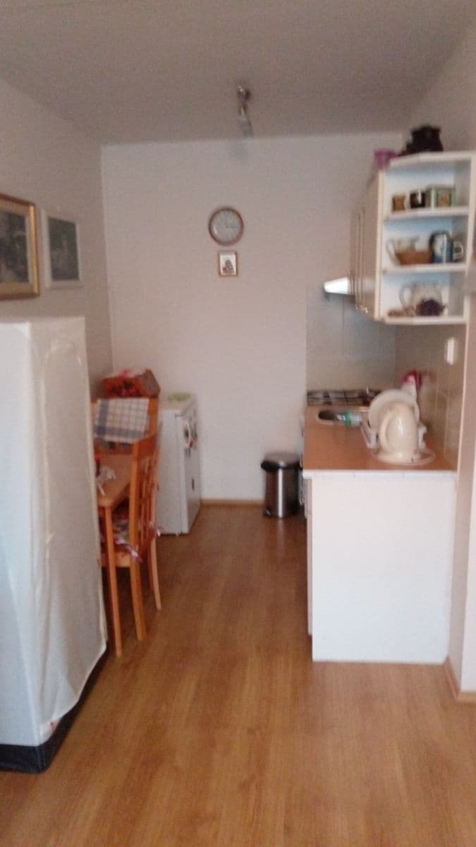 1 bedroom with open-plan kitchen flat for sale, 42 m², Teplická, Prague, Prague 1 bedroom with open-plan kitchen flat for sale, 42 m², Teplická, Prague, Prague