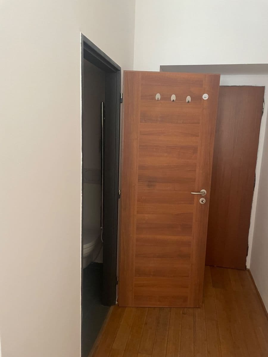 1 bedroom with open-plan kitchen flat to rent, 52 m², Žerotínova, Prague, Prague 1 bedroom with open-plan kitchen flat to rent, 52 m², Žerotínova, Prague, Prague