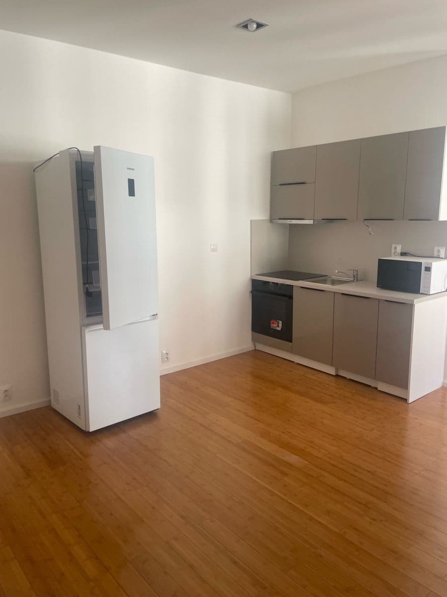1 bedroom with open-plan kitchen flat to rent, 52 m², Žerotínova, Prague, Prague 1 bedroom with open-plan kitchen flat to rent, 52 m², Žerotínova, Prague, Prague