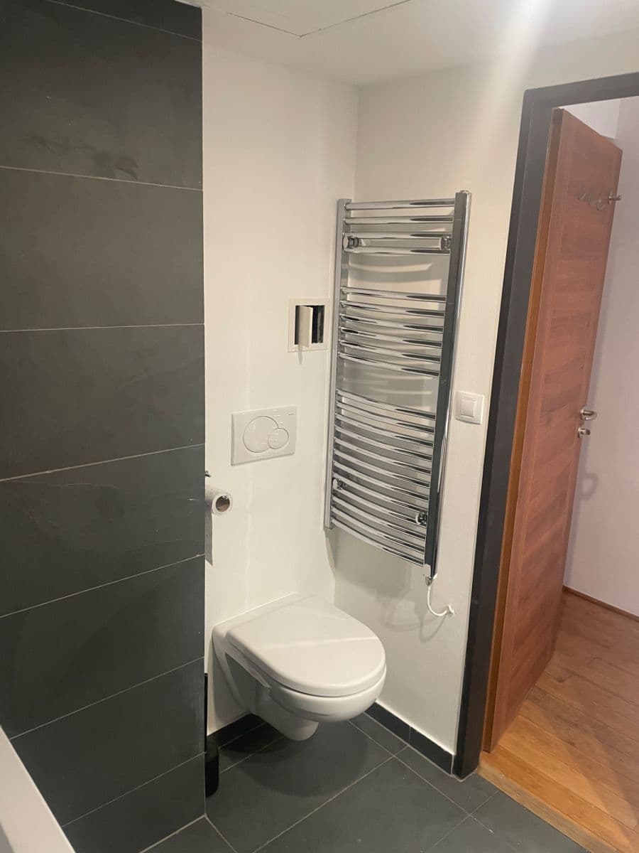 1 bedroom with open-plan kitchen flat to rent, 52 m², Žerotínova, Prague, Prague 1 bedroom with open-plan kitchen flat to rent, 52 m², Žerotínova, Prague, Prague