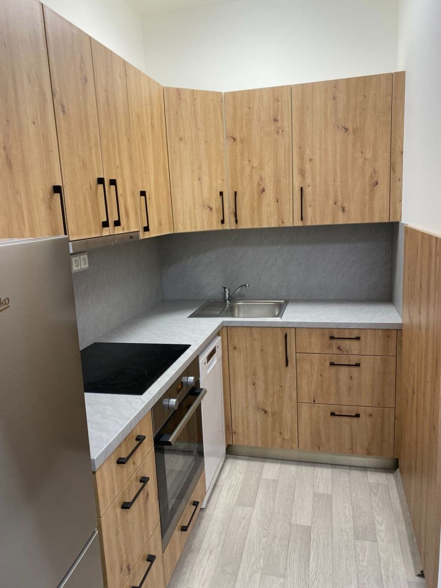 1 bedroom with open-plan kitchen flat to rent, 51 m², Stehlíkova, Plzeň, Plzeňský Region 1 bedroom with open-plan kitchen flat to rent, 51 m², Stehlíkova, Plzeň, Plzeňský Region