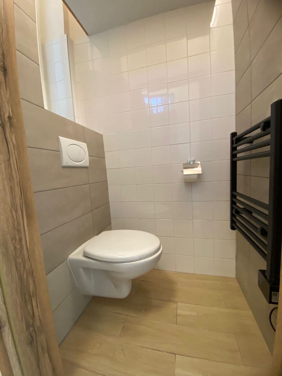 1 bedroom with open-plan kitchen flat to rent, 51 m², Stehlíkova, Plzeň, Plzeňský Region 1 bedroom with open-plan kitchen flat to rent, 51 m², Stehlíkova, Plzeň, Plzeňský Region