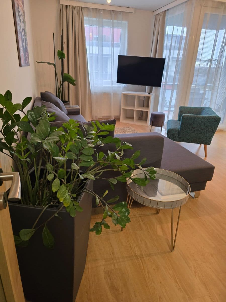 1 bedroom with open-plan kitchen flat to rent, 59 m², Svatojánská, Hradec Králové, Královéhradecký Region 1 bedroom with open-plan kitchen flat to rent, 59 m², Svatojánská, Hradec Králové, Královéhradecký Region