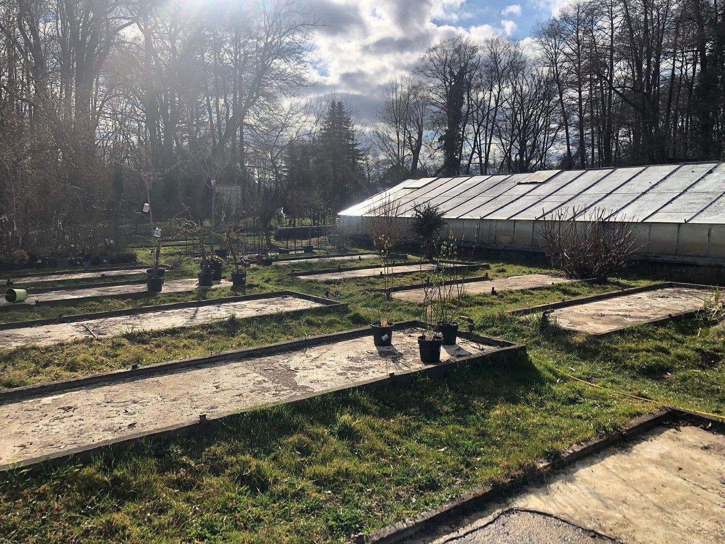 plot for sale, 4,300 m², Motzener Str. 8a, Bestensee, Brandenburg plot for sale, 4,300 m², Motzener Str. 8a, Bestensee, Brandenburg