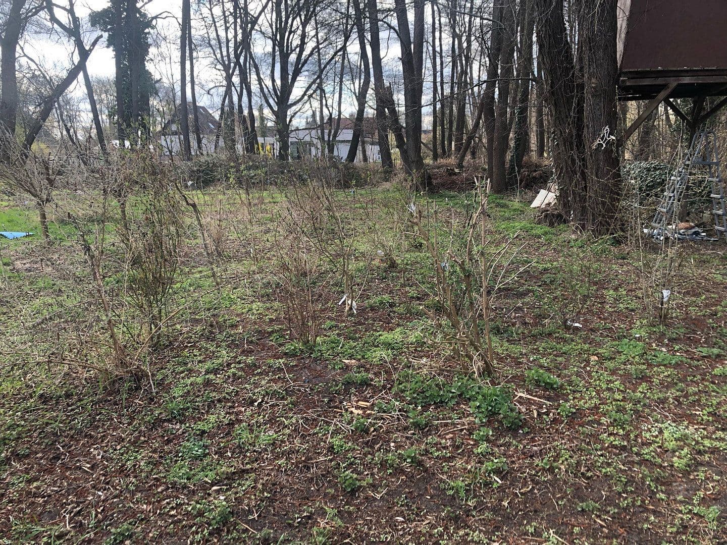 plot for sale, 4,300 m², Motzener Str. 8a, Bestensee, Brandenburg plot for sale, 4,300 m², Motzener Str. 8a, Bestensee, Brandenburg