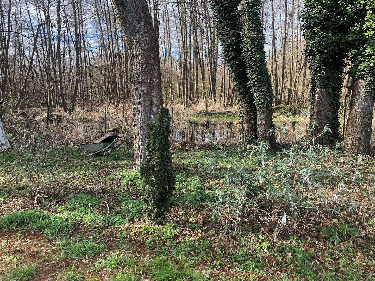 plot for sale, 4,300 m², Motzener Str. 8a, Bestensee, Brandenburg plot for sale, 4,300 m², Motzener Str. 8a, Bestensee, Brandenburg