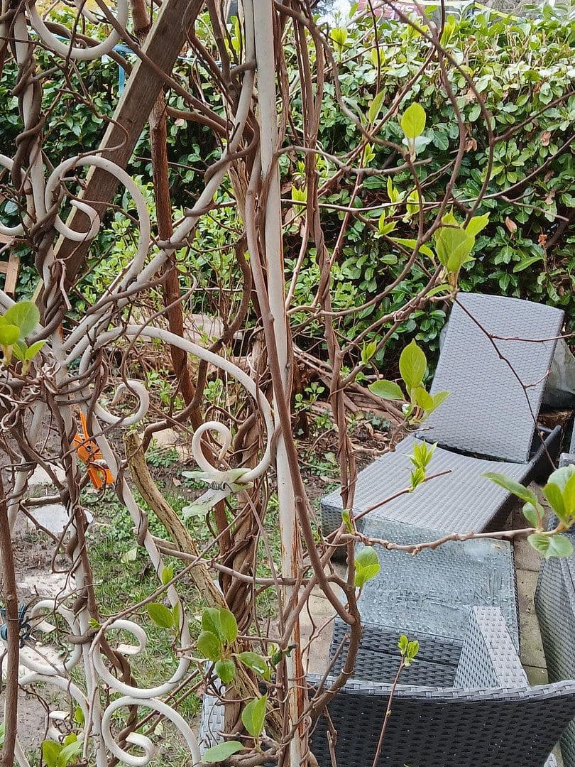 2 bedroom with open-plan kitchen flat for sale, 88 m², Freiburg, Baden-Württemberg 2 bedroom with open-plan kitchen flat for sale, 88 m², Freiburg, Baden-Württemberg