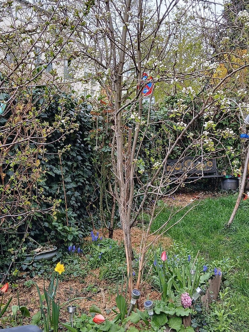 2 bedroom with open-plan kitchen flat for sale, 88 m², Freiburg, Baden-Württemberg 2 bedroom with open-plan kitchen flat for sale, 88 m², Freiburg, Baden-Württemberg