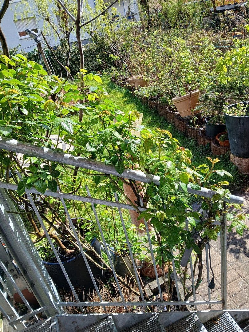 2 bedroom with open-plan kitchen flat for sale, 88 m², Freiburg, Baden-Württemberg 2 bedroom with open-plan kitchen flat for sale, 88 m², Freiburg, Baden-Württemberg