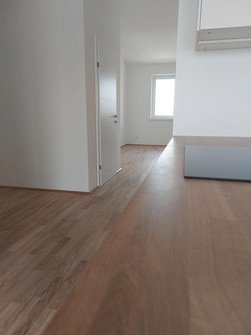 1 bedroom with open-plan kitchen flat to rent, 66 m², Wienerstr. 29, Linz, Upper Austria 1 bedroom with open-plan kitchen flat to rent, 66 m², Wienerstr. 29, Linz, Upper Austria