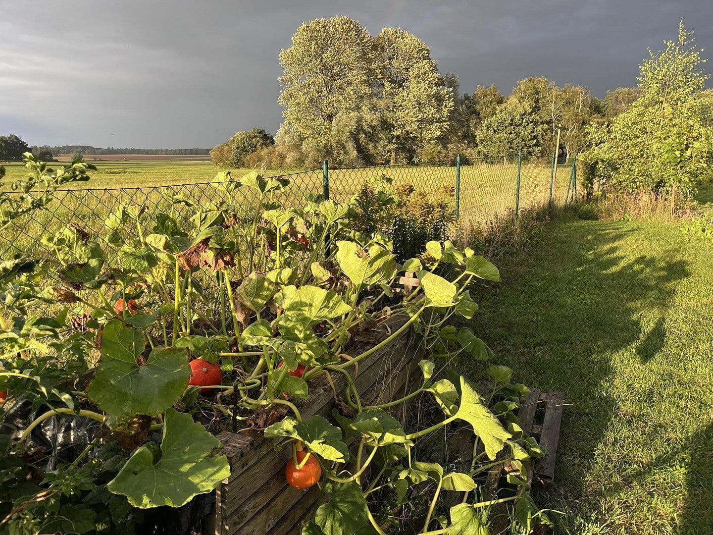 house for sale, 60 m², Biendorf, Mecklenburg-Vorpommern house for sale, 60 m², Biendorf, Mecklenburg-Vorpommern