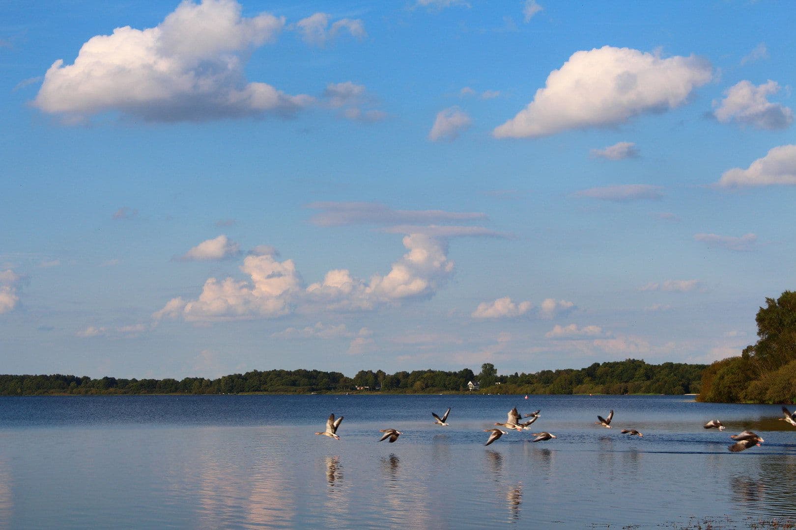 house to rent, 105 m², Neumünster, Schleswig-Holstein house to rent, 105 m², Neumünster, Schleswig-Holstein