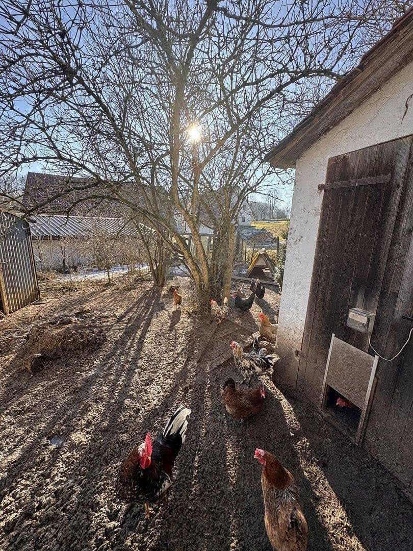 house for sale, 137 m², Wappeltshofen 4, Altdorf bei Nürnberg, Bavaria house for sale, 137 m², Wappeltshofen 4, Altdorf bei Nürnberg, Bavaria