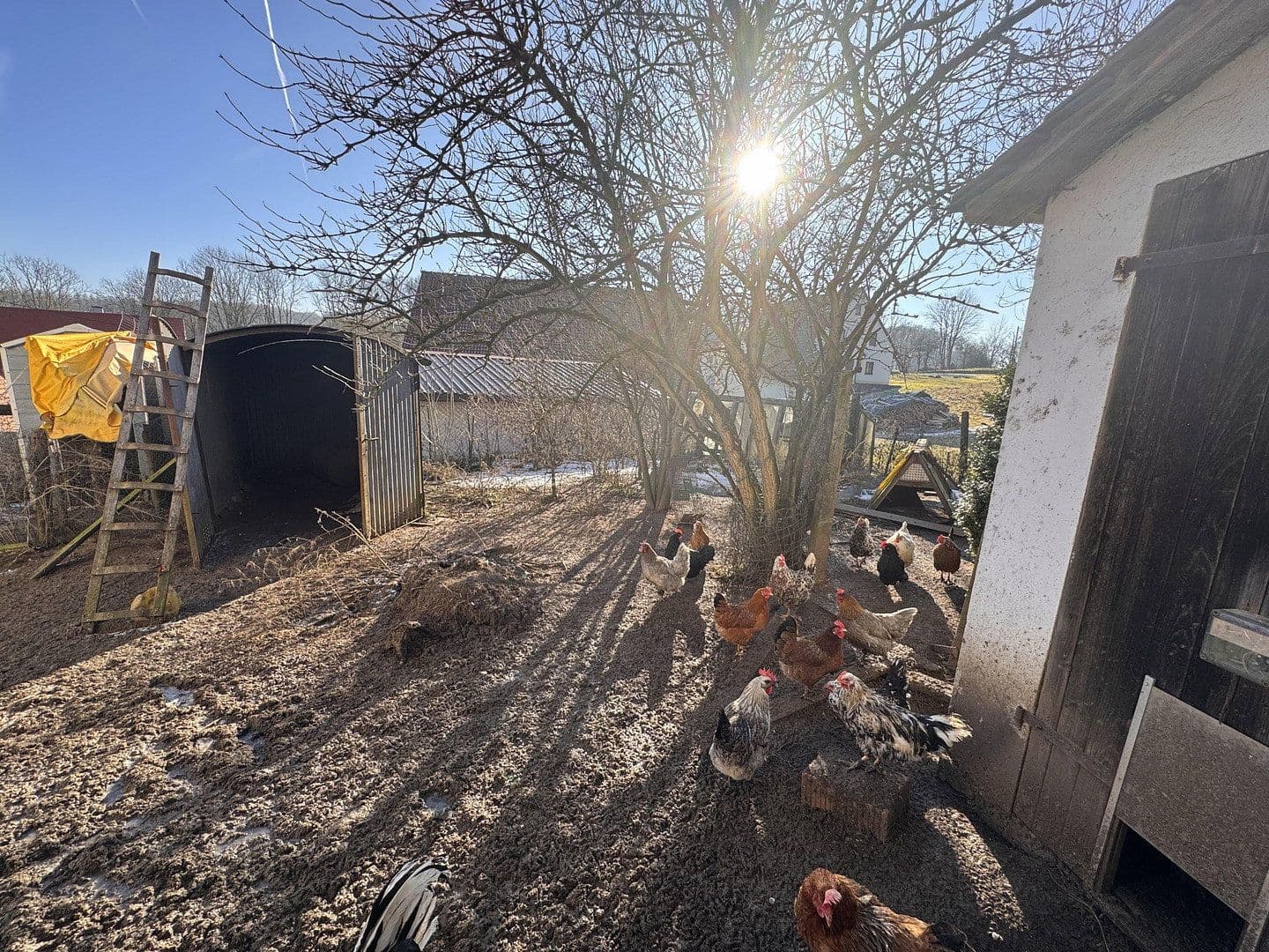 house for sale, 137 m², Wappeltshofen 4, Altdorf bei Nürnberg, Bavaria house for sale, 137 m², Wappeltshofen 4, Altdorf bei Nürnberg, Bavaria