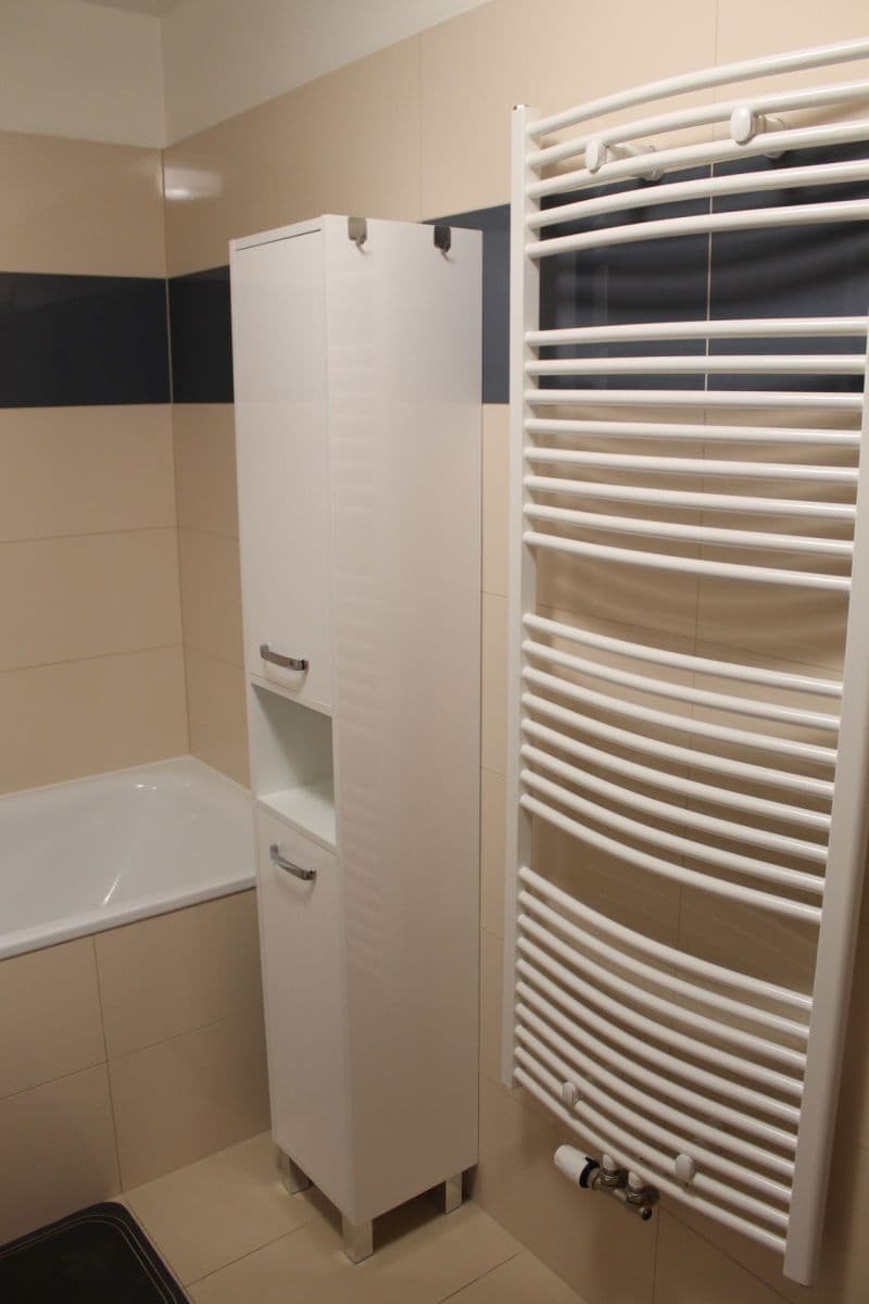 1 bedroom with open-plan kitchen flat to rent, 50 m², Lehovecká, Prague, Prague 1 bedroom with open-plan kitchen flat to rent, 50 m², Lehovecká, Prague, Prague